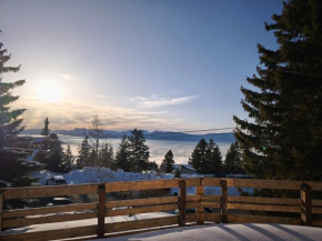 Exceptional chalet